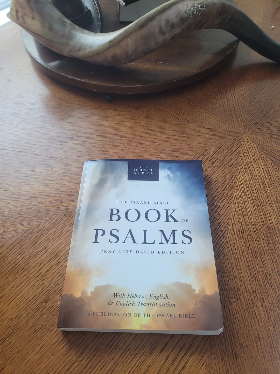 Customer photo review of The Israel Bible Book of Psalms: Pray Like David Edition