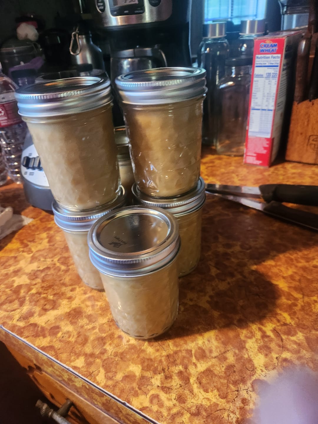 Customer photo review of RAW SEA MOSS