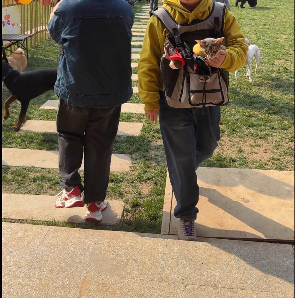 Customer photo review of Comfortable Labor-saving Front-Zip Front Pet Carrier