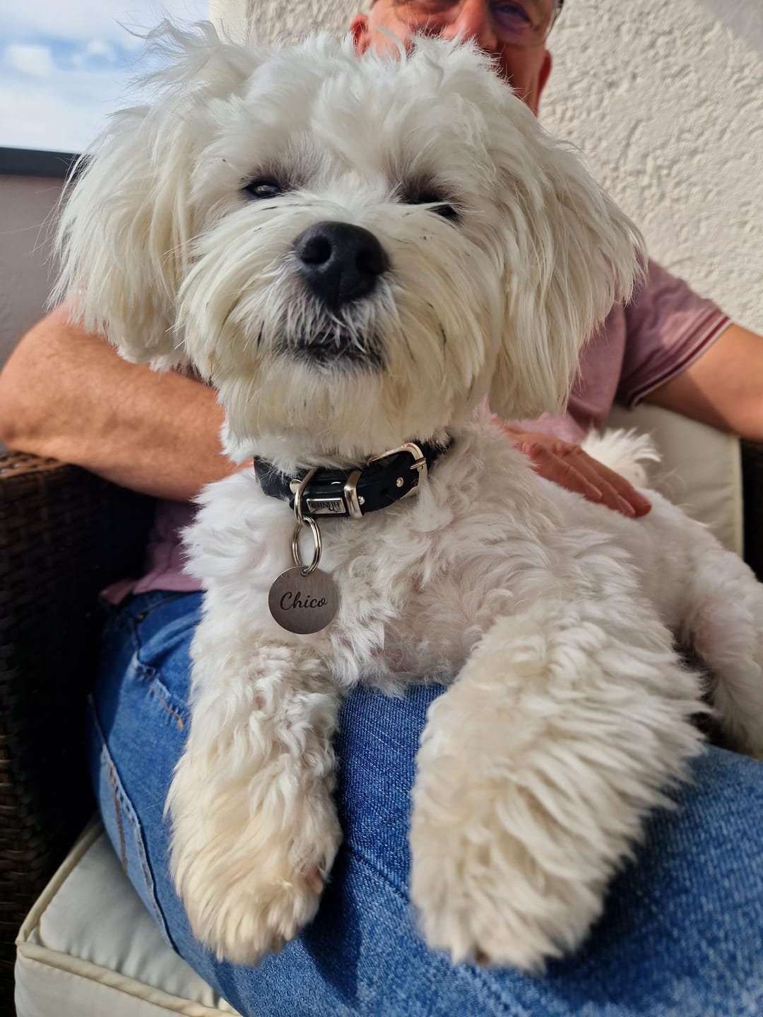 Customer photo review of Runde Hundemarke mit Gravur, Name und Telefon personalisiert