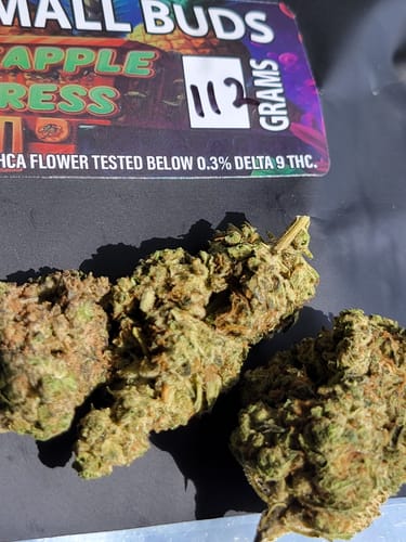 Customer photo review of Pineapple Express THCA Flower