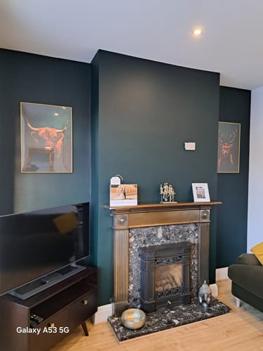 Customer photo review of Highlands Set of 2 Prints