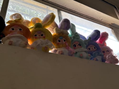 Customer photo review of Baby Three Lily Rabbit Town V2 Series Plush Blind Box