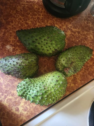 Customer photo review of Soursop