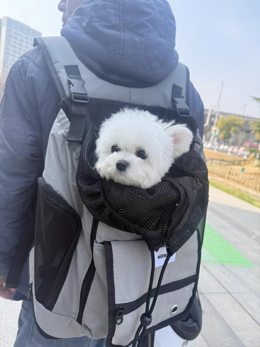 Customer photo review of Comfortable Labor-saving Front-Zip Front Pet Carrier