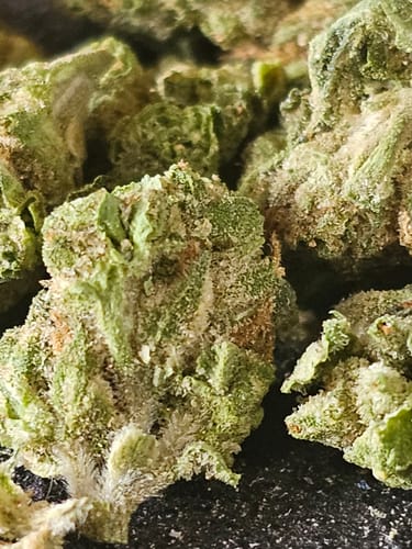 Customer photo review of Oreoz THCA Flower