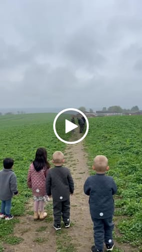 Customer video review of Rum-raket 2.0