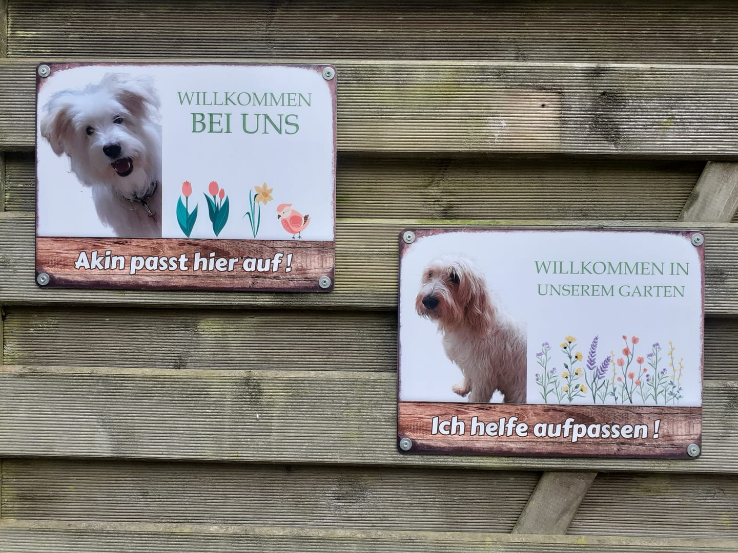 Customer photo review of Hunde Garten-Schild personalisiert mit Foto & Text (UV- und wetterfest)