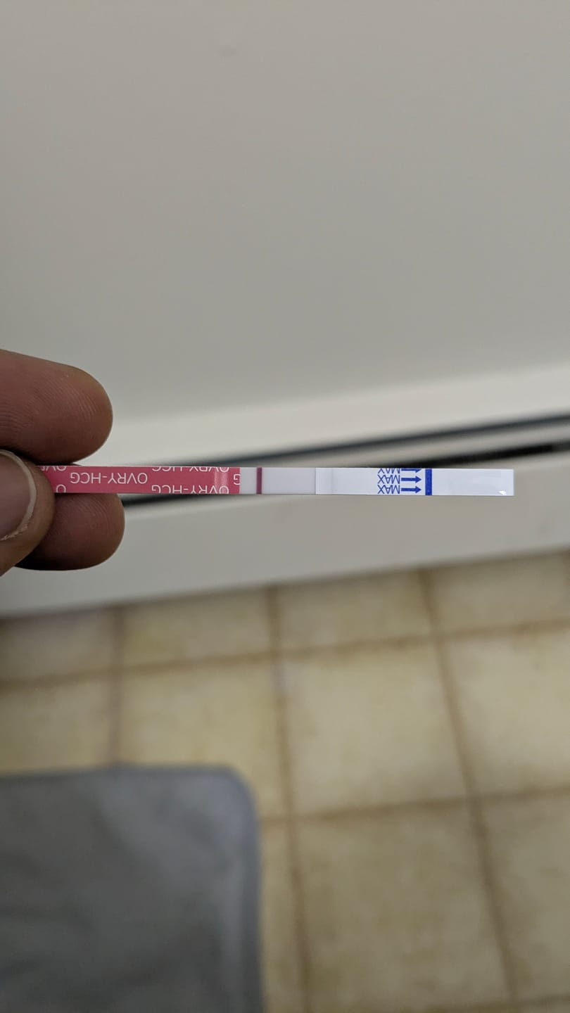 Customer photo review of Pregnancy Test Strips (Ultra-Sensitive)