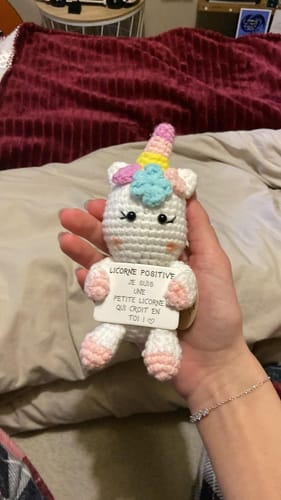 Customer photo review of LICORNE POSITIVE