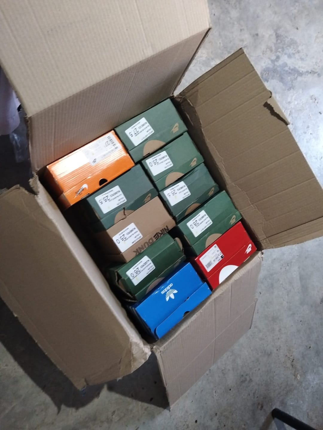 Customer photo review of Tenis Dunk Low Blanco Cielo