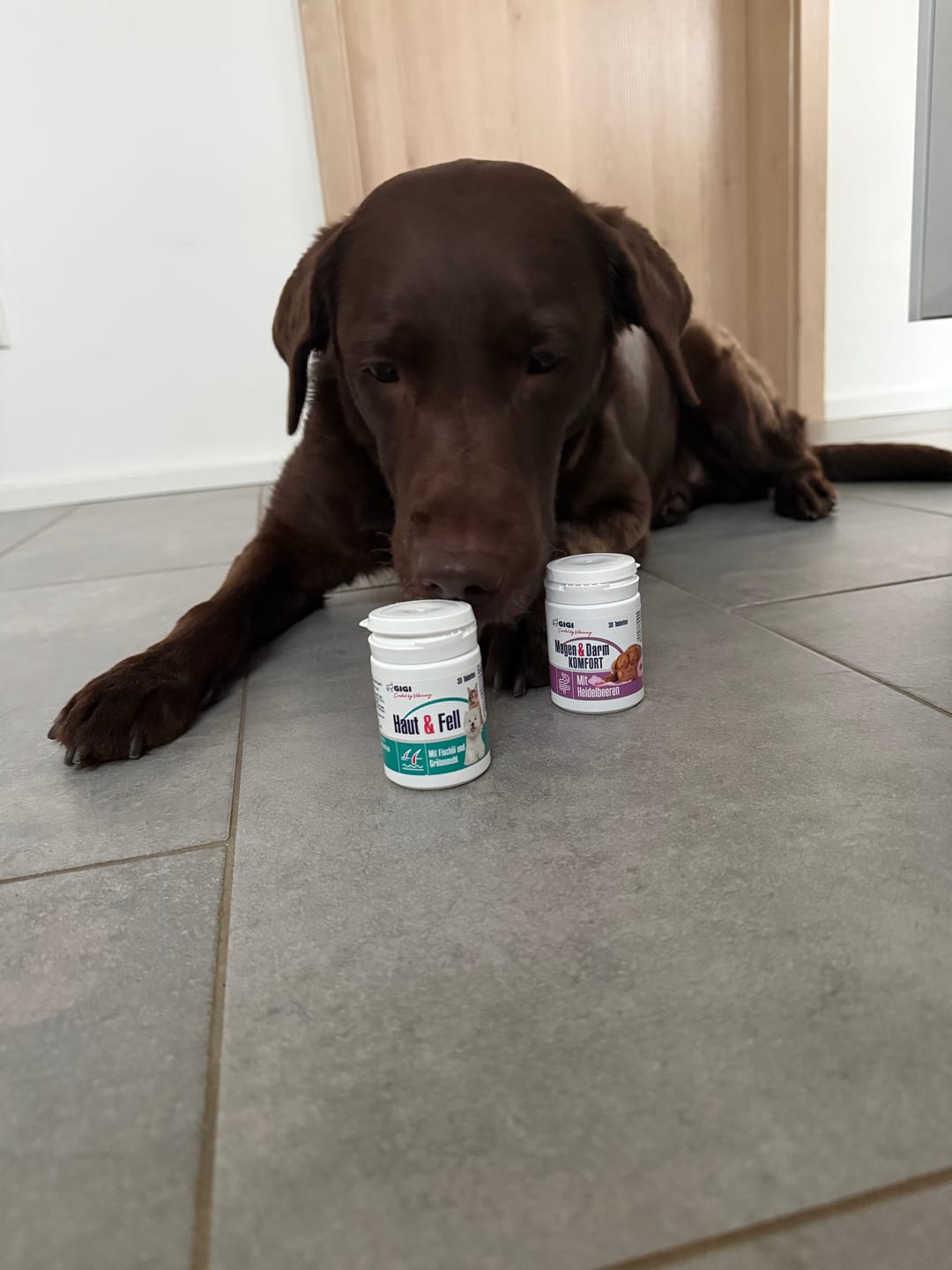 Customer photo review of GIGI VET Haut & Fell Für Hunde und Katzen