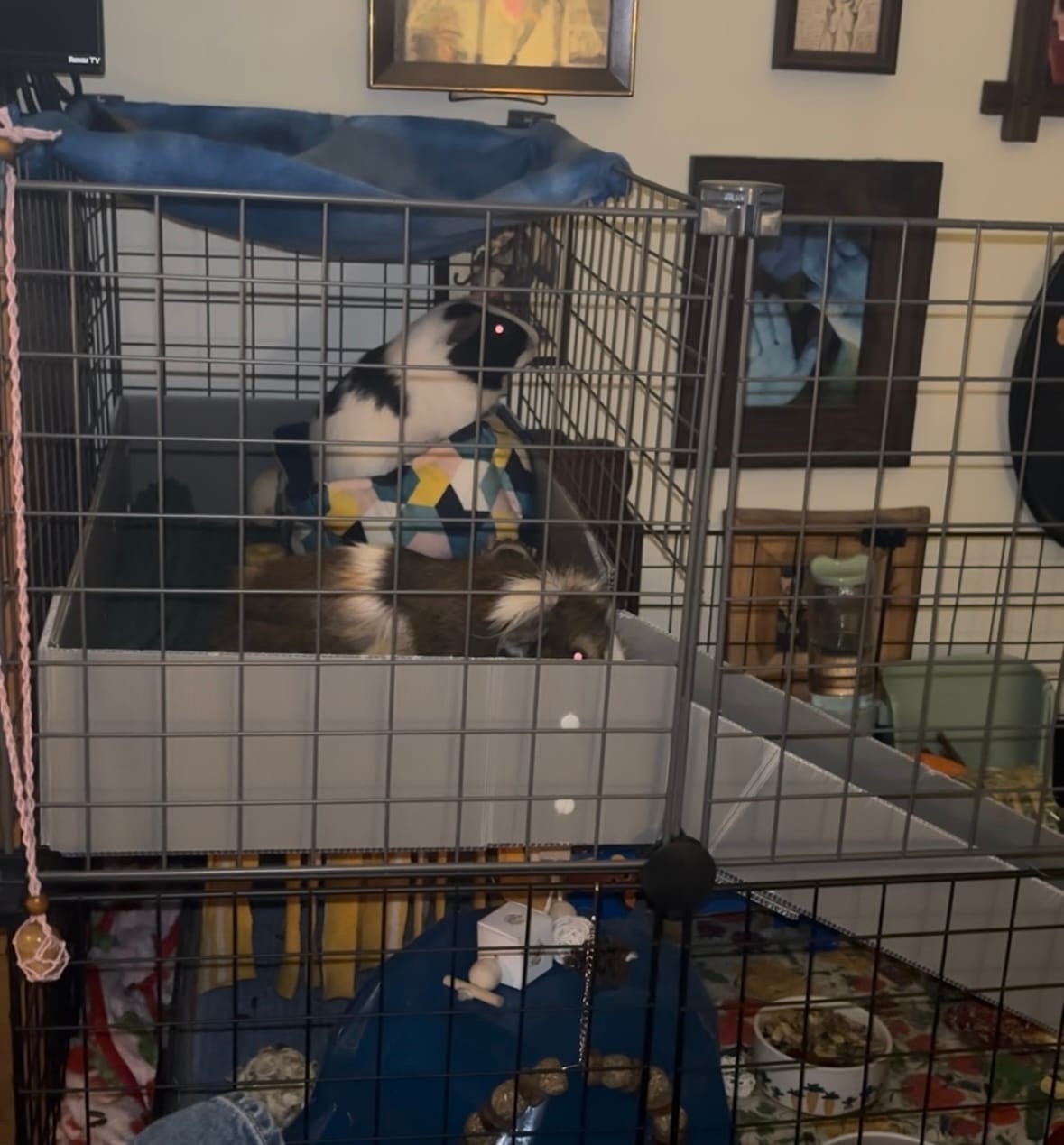 Customer photo review of Piggy Condo C&C Balcony