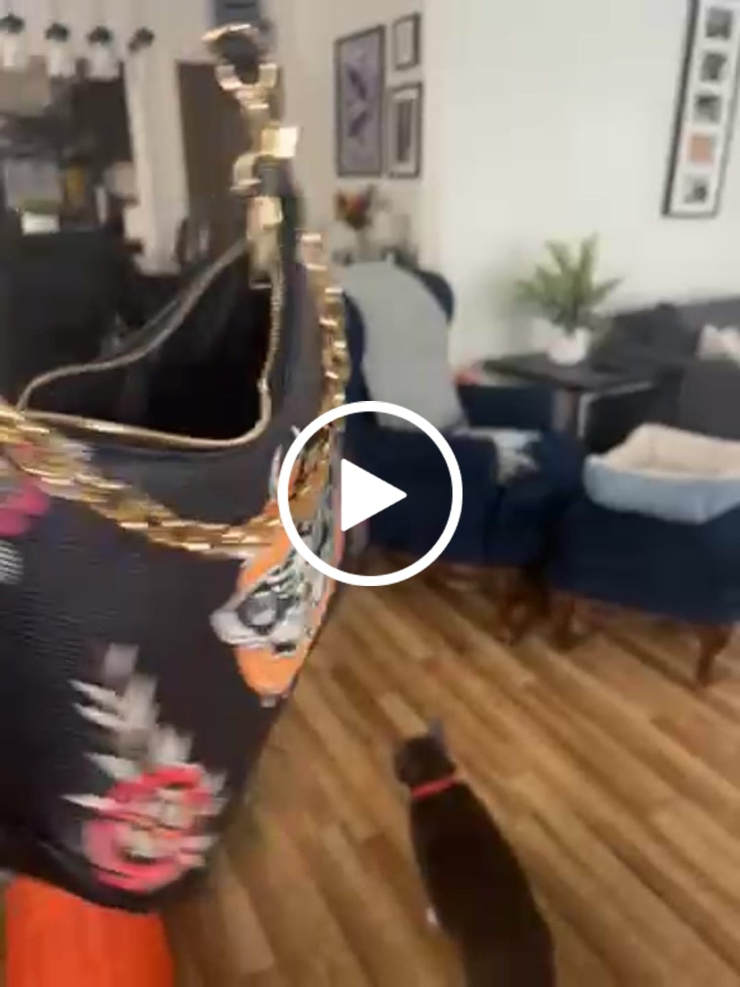 Customer video review of Death Moth Vintage Print - Leather Crossbody Bag