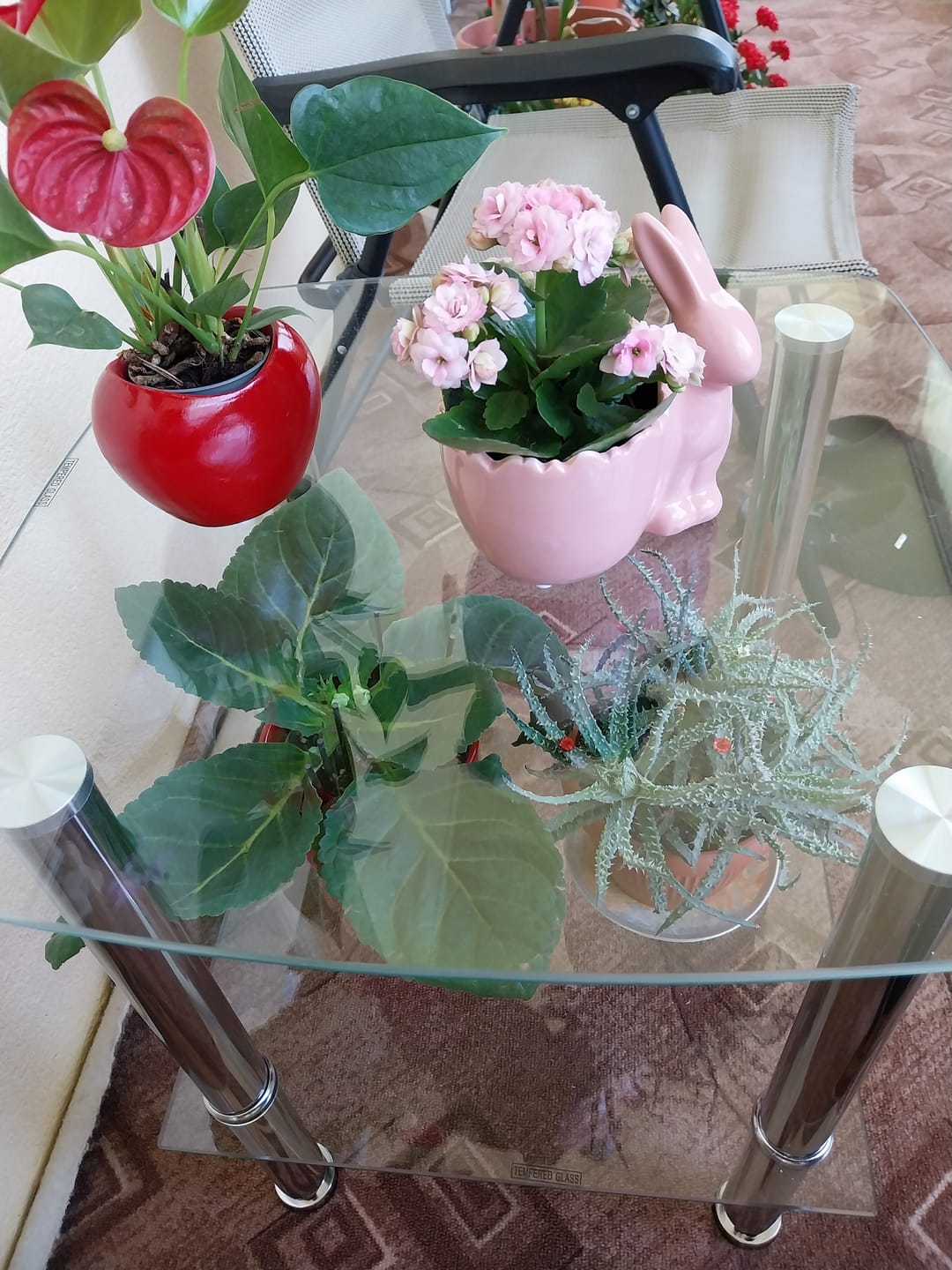 Customer photo review of Masuta Canaria, transparent/argintiu, sticla/otel, 45X45X51 CM