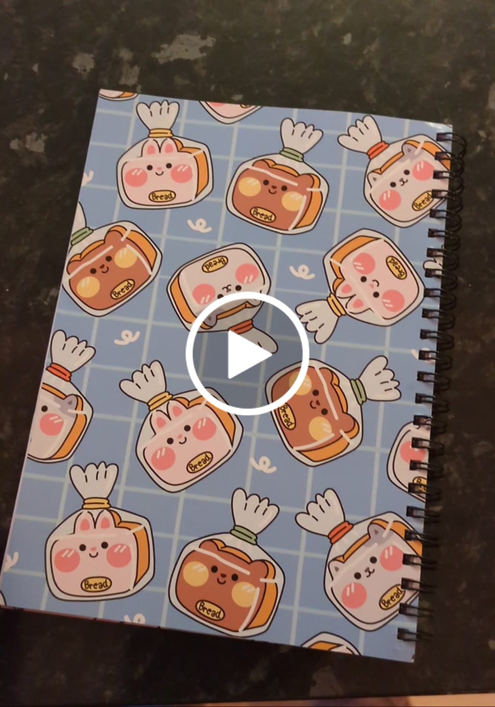 Customer video review of Build-A-Book Daily Planner Pack