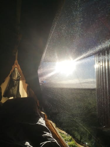 Customer photo review of Haven Safari