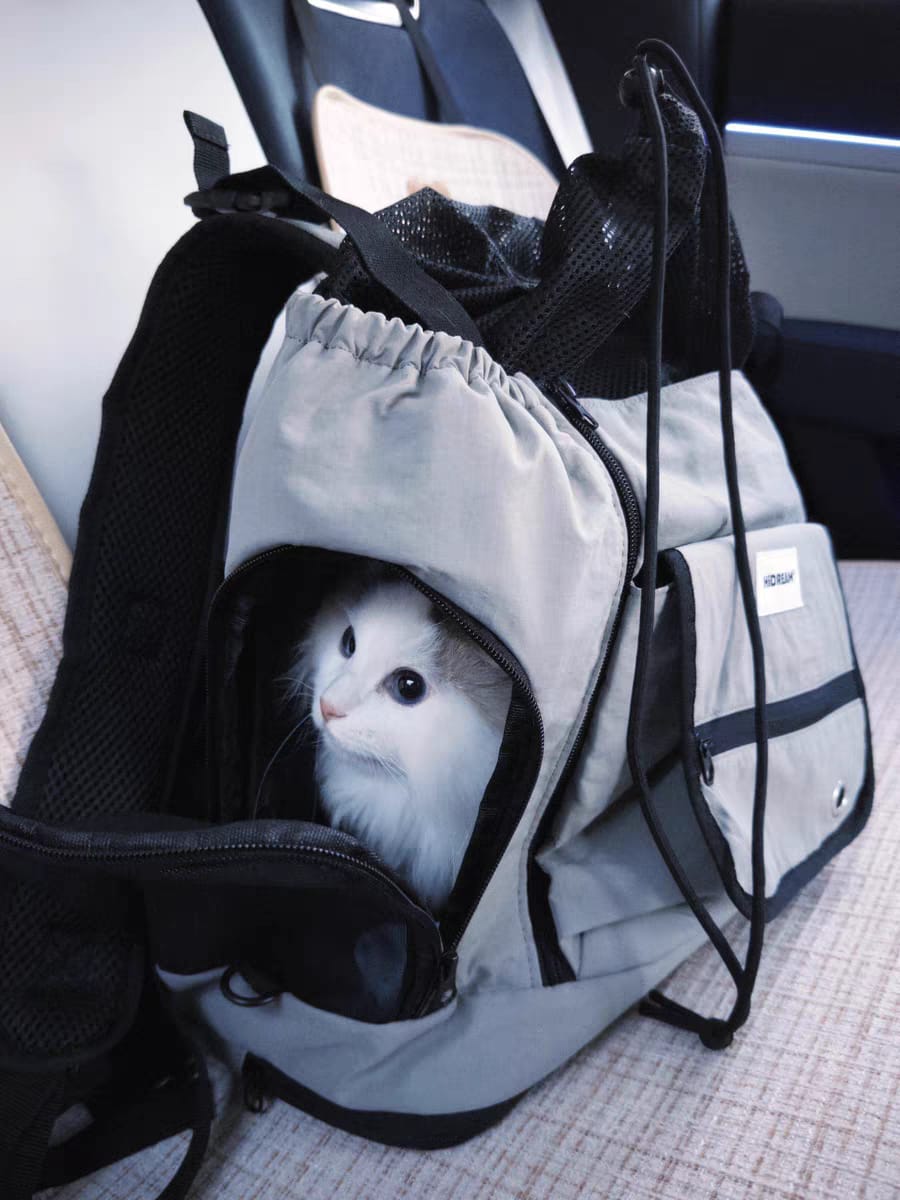Customer photo review of Comfortable Labor-saving Front-Zip Front Pet Carrier