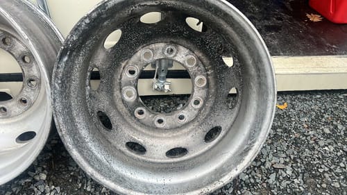 Customer photo review of Absolute Acid