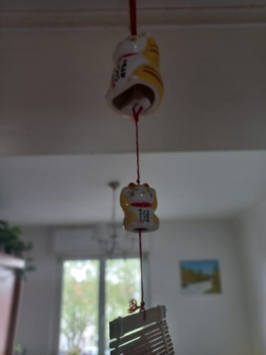 Customer photo review of Carillon Japonais Maneki Neko