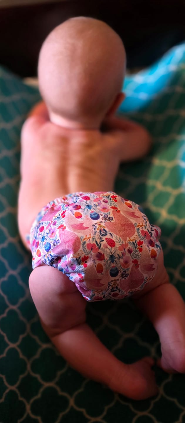 Customer photo review of Tiny Tushies Newborn AIO Cloth Diaper