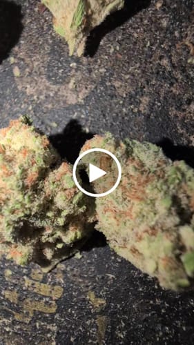 Customer video review of Shipping Protection by Route