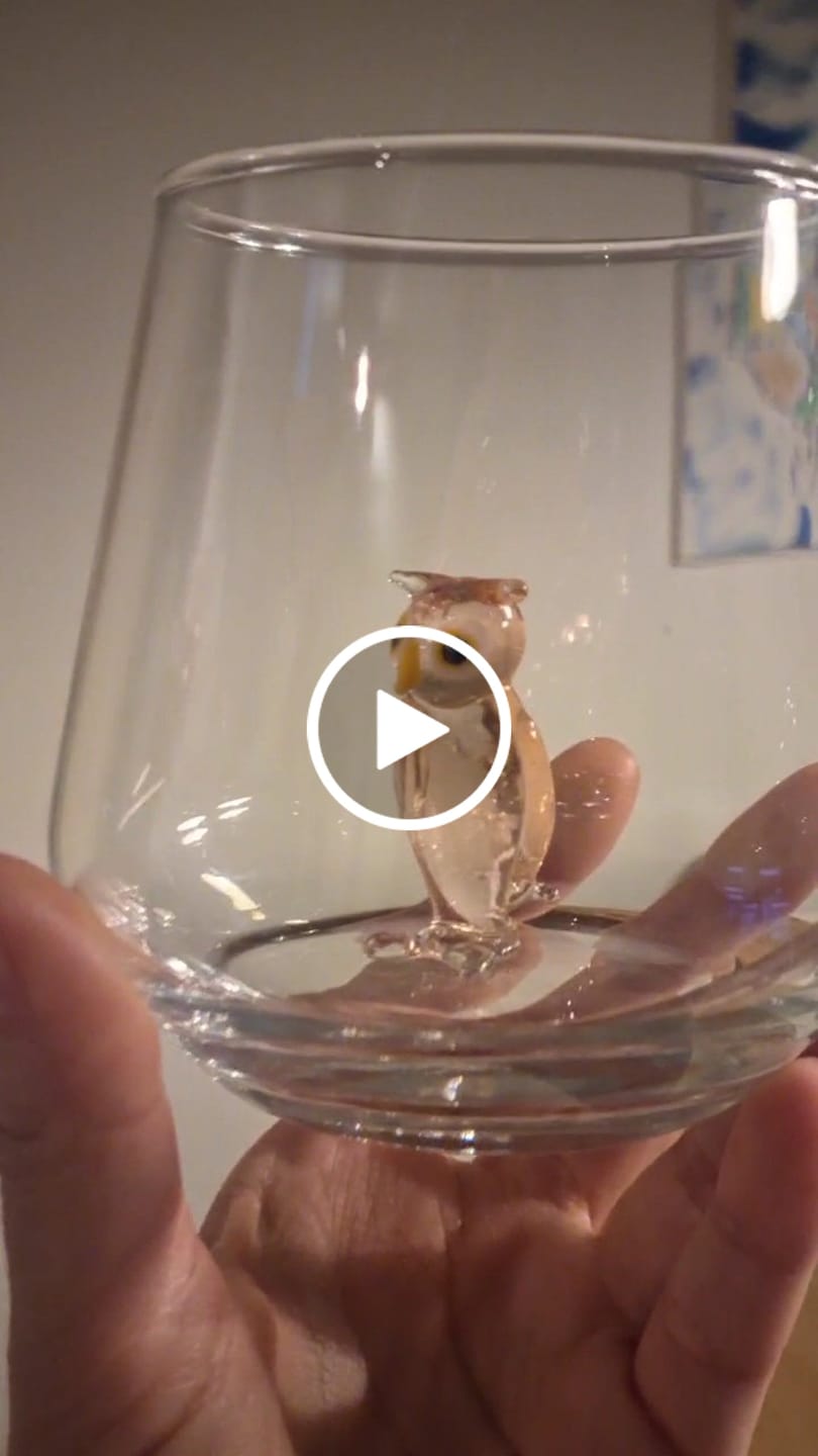Customer video review of Owl Glass