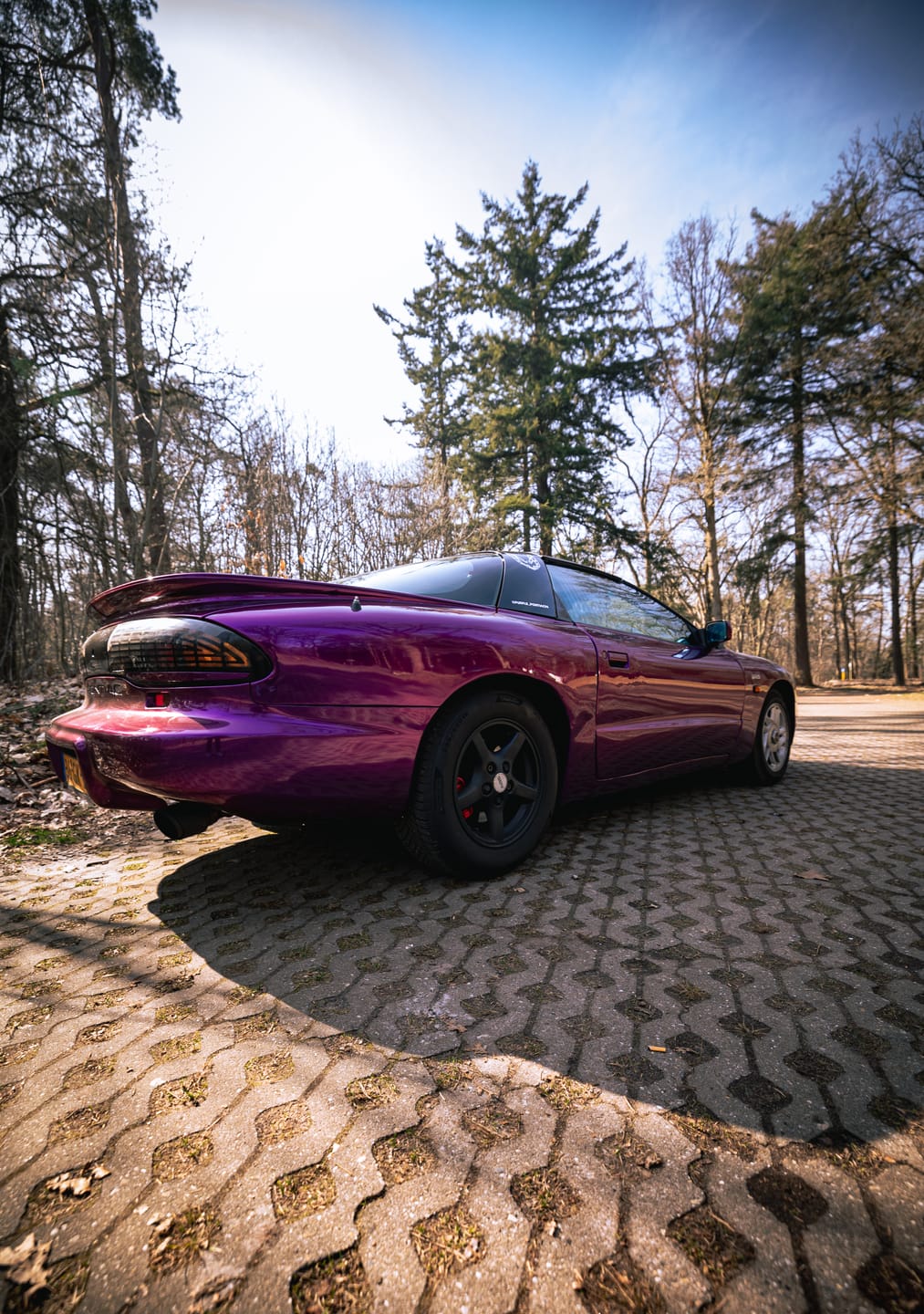 Customer photo review of Glossy Metallic Grape Purple Vinyl Wrap