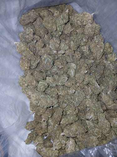 Customer photo review of Cheap THCA Flower Pound