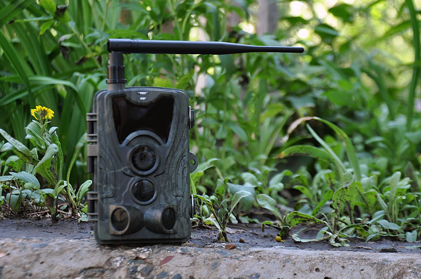 Customer photo review of Caméra de chasse 4G+ avec écran + Carte SD 64GB Offerte