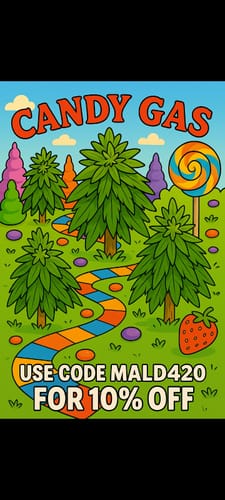 Customer photo review of Candy Gas THCA Flower