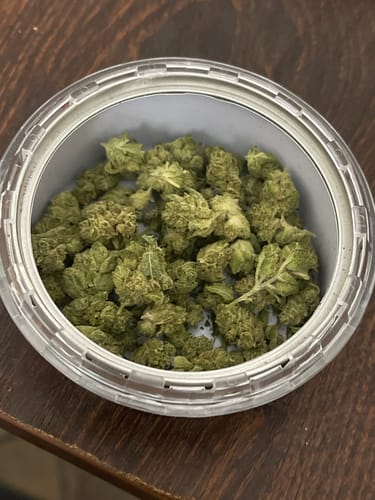 Customer photo review of Shipping Protection by Route