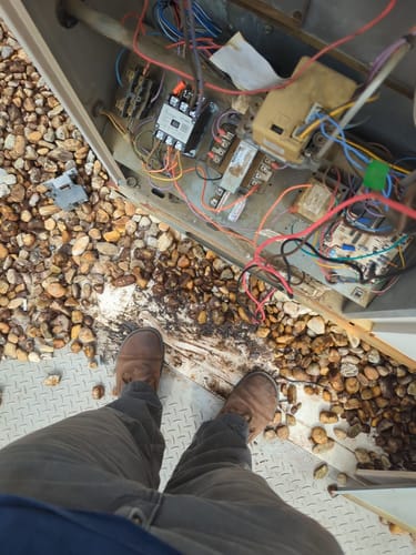 Customer photo review of Bruin / Kodiak Brown