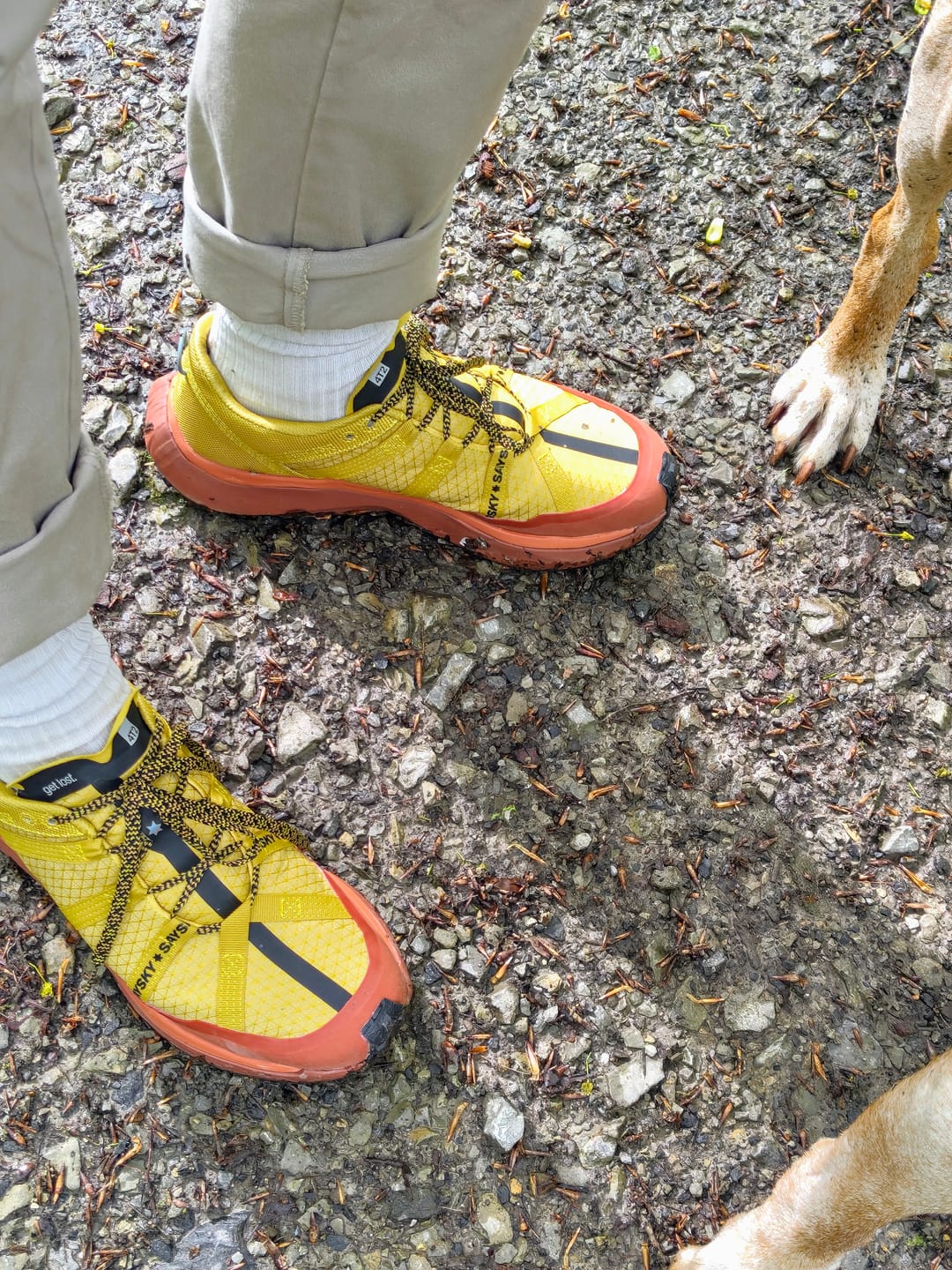 Customer photo review of get lost, saysky edition.