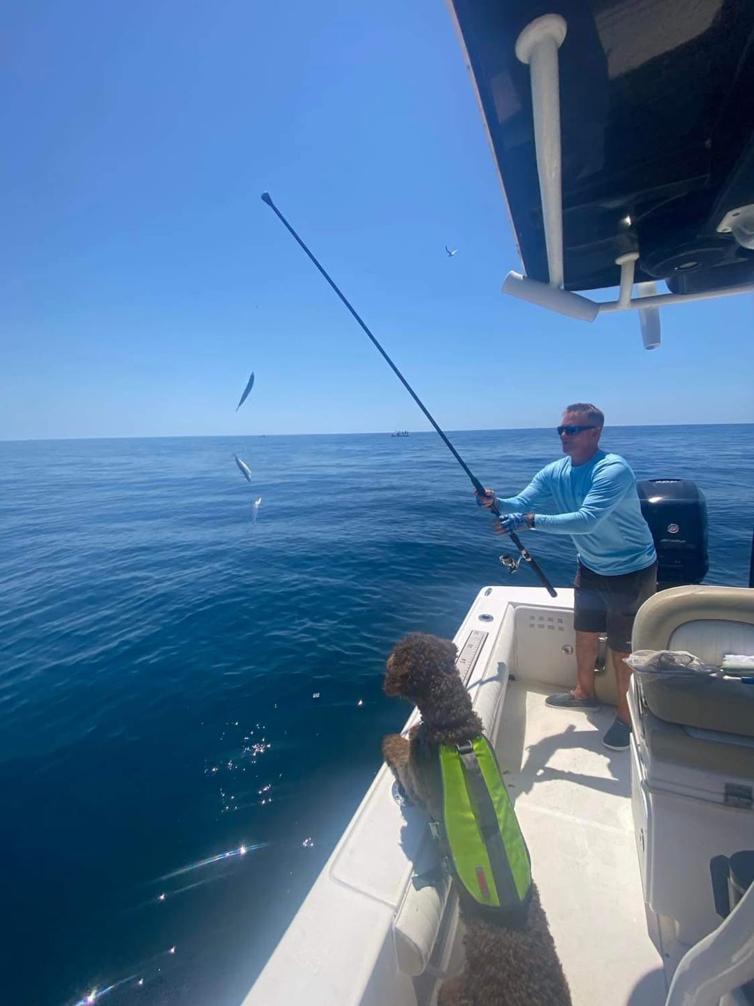 Customer photo review of RGF Pro Series Fluorocarbon Bait Rig