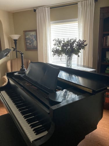 Customer photo review of Faux Dusty Plum Stem