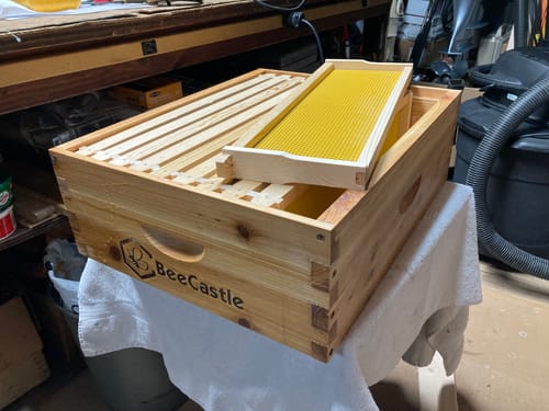 Customer photo review of BeeCastle 10-Frame Unassembled Medium Super Beehive Box with Pine Wooden Frames and Beeswax-Coated Yellow Plastic Foundation