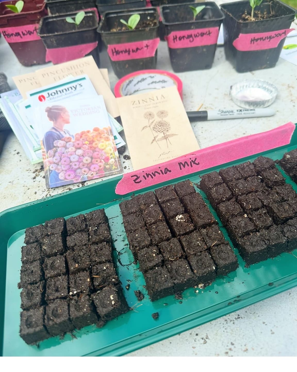 Customer photo review of Blocker Trays, Reusable Plastic*