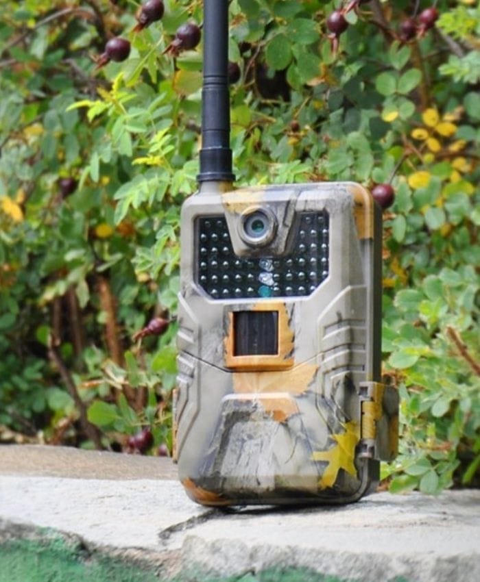 Customer photo review of Caméra de chasse connectée au téléphone 4G+ 4K - Nature & Chasse®