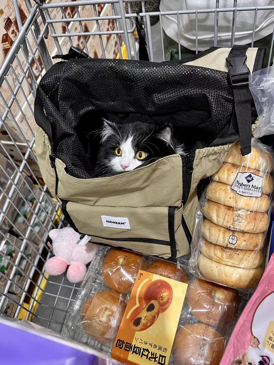 Customer photo review of Comfortable Labor-saving Front-Zip Front Pet Carrier