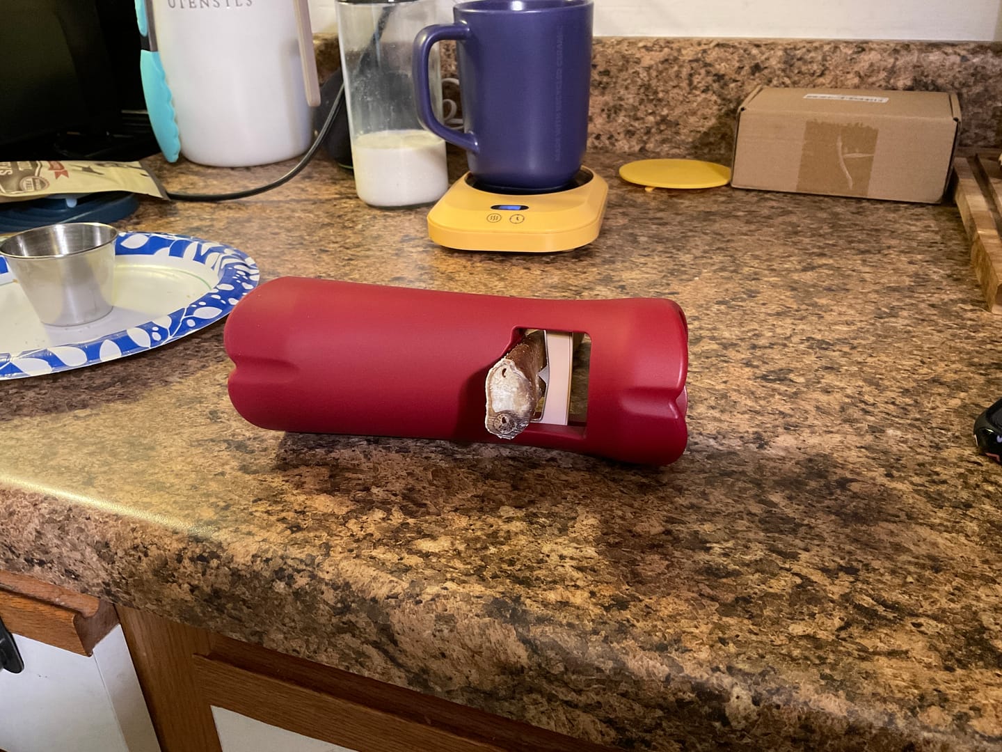 Customer photo review of Bully Stick Safety Holder