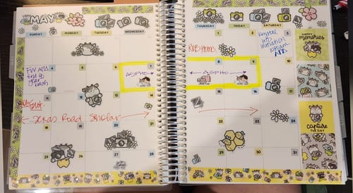 Customer photo review of Ultimate Subscription
