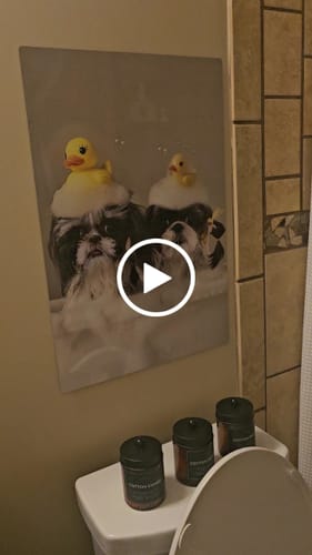 Customer video review of 1. Your Customized Photo