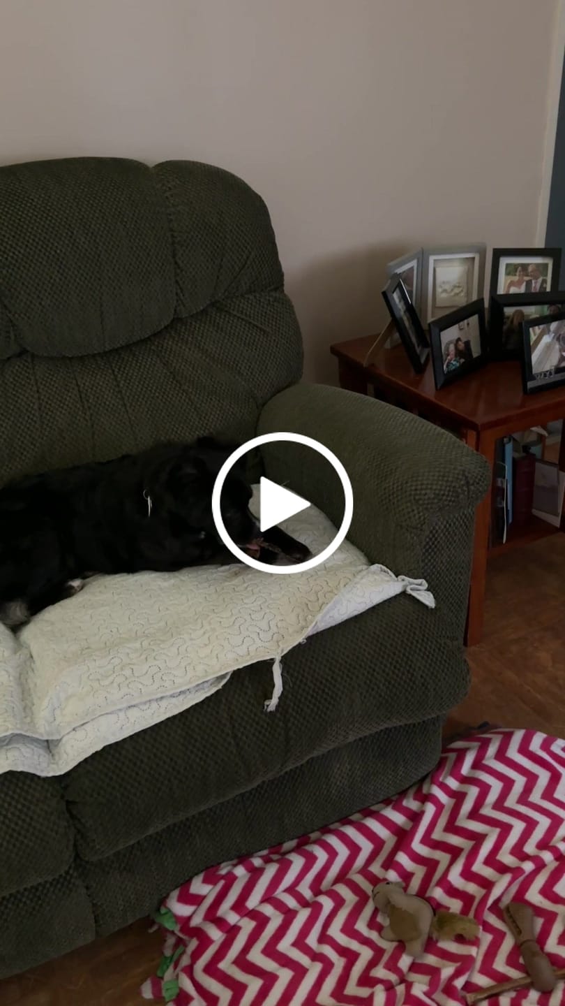 Customer video review of 12 Inch Beef Jerky Strip