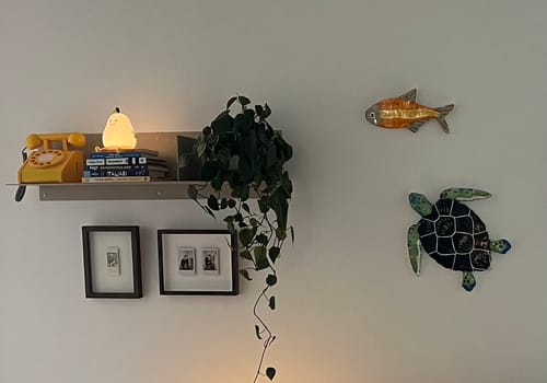 Customer photo review of FOLD Layout Shelf 800