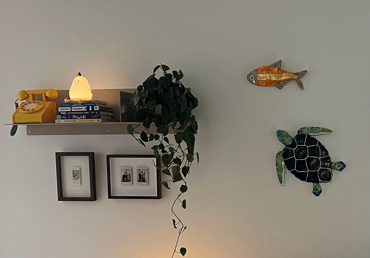 Customer photo review of FOLD Layout Shelf 800
