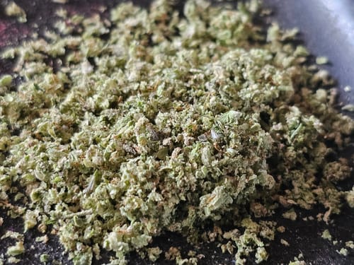 Customer photo review of Georgia Pie THCA Flower