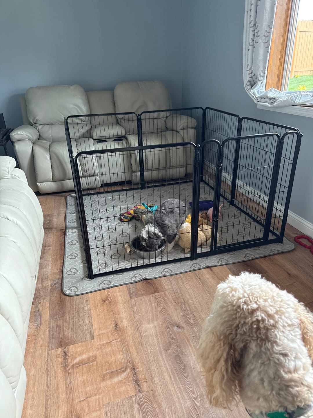 Customer photo review of Homeplus Dog Playpen for Indoor Use