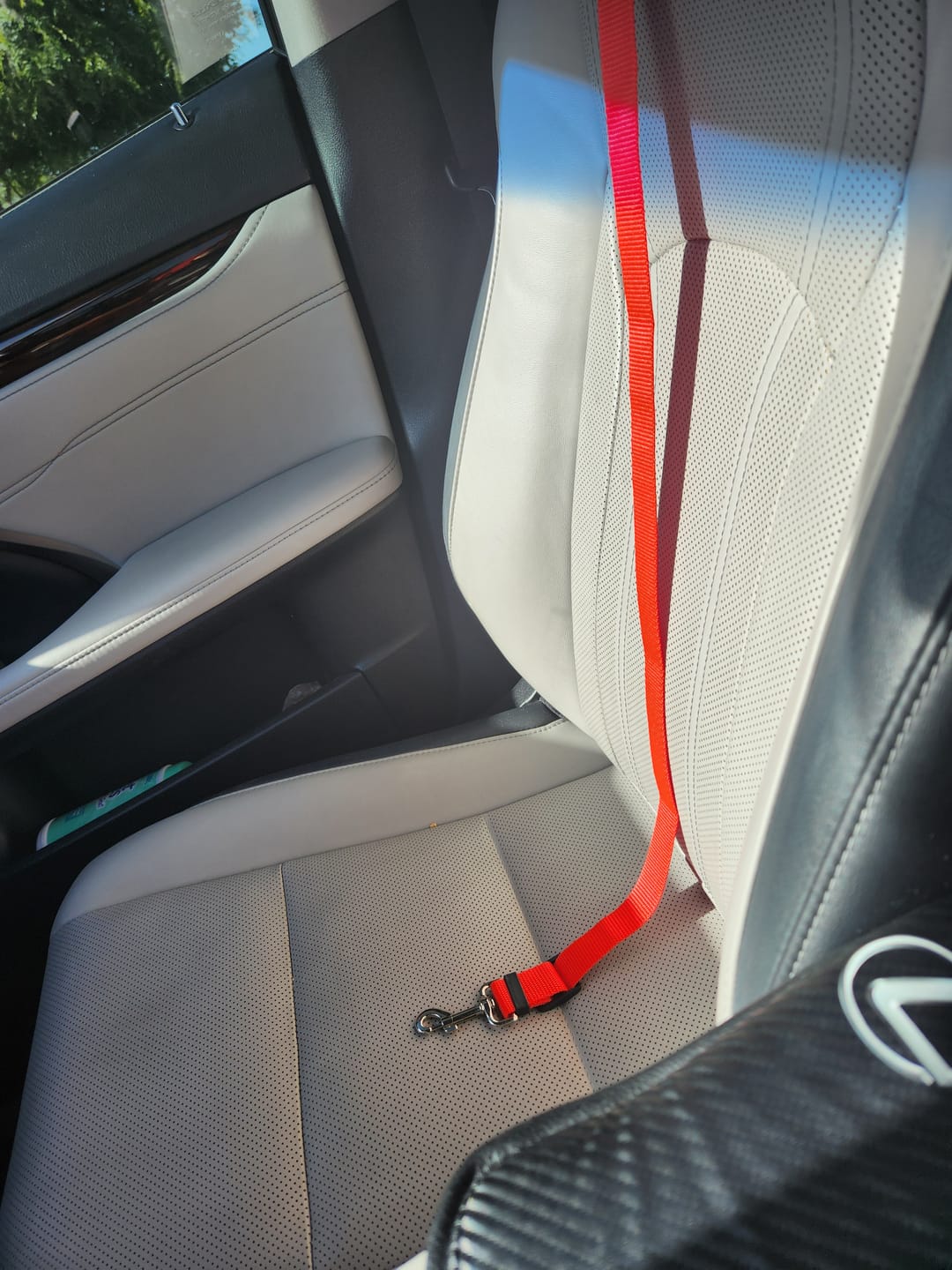 Customer photo review of 2 Pack Headrest Car Dog Safety Seatbelt