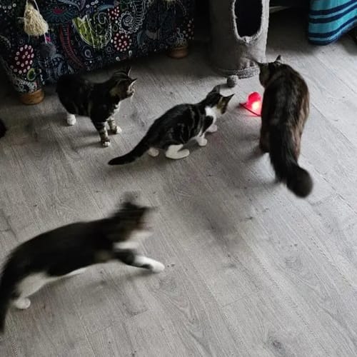 Kundenbewertung – Foto